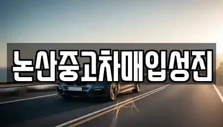 충청남도 논산시 중고차매입 전문 논산중고차매입성진