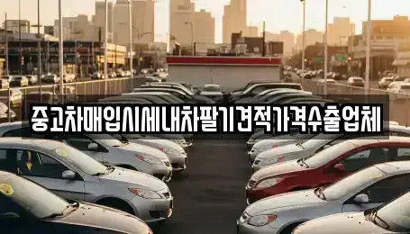 충청남도 논산시 중고차매입 전문 중고차매입시세내차팔기견적가격수출업체