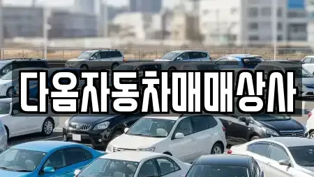 충청남도 보령시 남곡동 중고차 전문 다옴자동차매매상사
