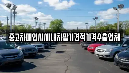 충청남도 보령시 남곡동 중고차 전문 중고차매입시세내차팔기견적가격수출업체