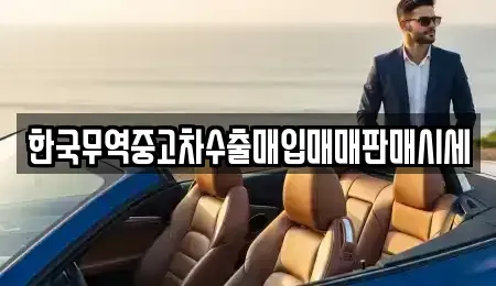 충청남도 보령시 동대동 중고차 전문 한국무역중고차수출매입매매판매시세