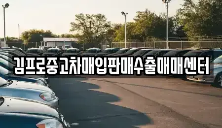 충청남도 보령시 동대동 중고차매입 전문 김프로중고차매입판매수출매매센터