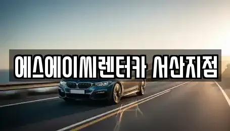 충청남도 서산시 석림동 장기렌트카 전문 에스에이씨렌터카 서산지점