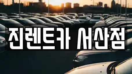 충청남도 서산시 석림동 장기렌트카 전문 진렌트카 서산점