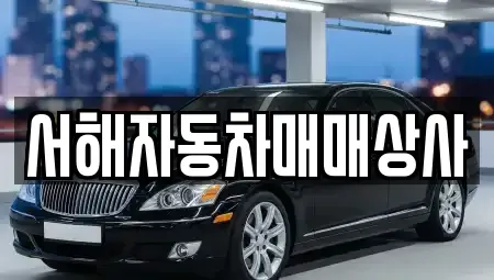 충청남도 서산시 석림동 중고차 전문 서해자동차매매상사