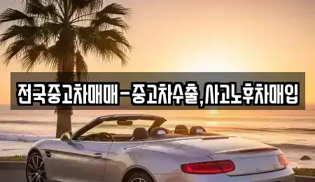 충청남도 서산시 석림동 중고차매입 전문 전국중고차매매-중고차수출,사고노후차매입