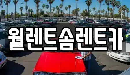 충청남도 아산시 신인동 렌트카 전문 월렌트솜렌트카