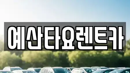 충청남도 예산군 덕산면 렌트카 전문 예산타요렌트카