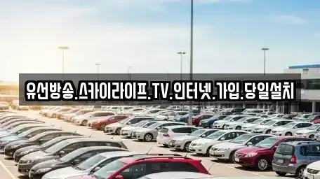 충청남도 태안군 원북면 중고차매입 전문 유선방송.스카이라이프.TV.인터넷.가입.당일설치
