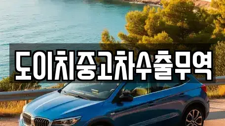 충청남도 홍성군 홍동면 중고차매매 전문 도이치중고차수출무역