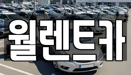 충청북도 음성군 삼성면 렌트카 전문 월렌트카