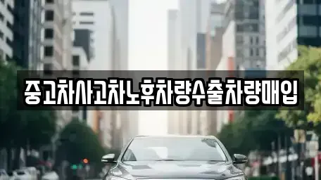 충청북도 음성군 삼성면 중고차매입 전문 중고차사고차노후차량수출차량매입