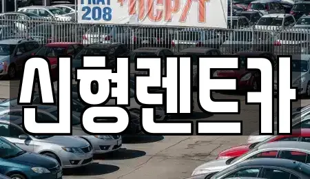 충청북도 제천시 영천동 렌트카 전문 신형렌트카