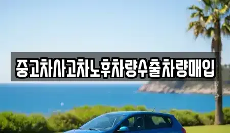 충청북도 제천시 영천동 중고차 전문 중고차사고차노후차량수출차량매입