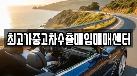 충청북도 청주시 상당구 북문로3가 중고차매입 전문 최고가중고차수출매입매매센터