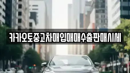 충청북도 청주시 청원구 정북동 중고차 전문 카카오토중고차매입매매수출판매시세