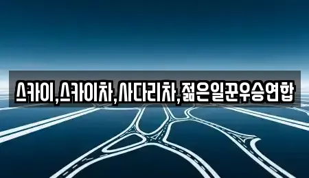 충청북도 청주시 흥덕구 상신동 중고차 전문 스카이,스카이차,사다리차,젊은일꾼우승연합