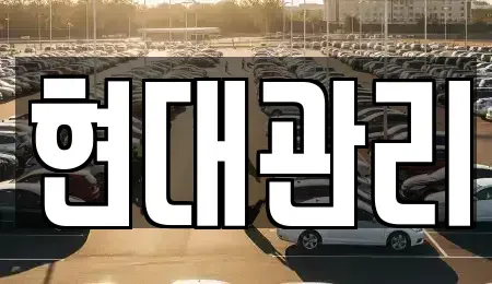 충청북도 청주시 흥덕구 옥산면 렌트카 전문 현대관리