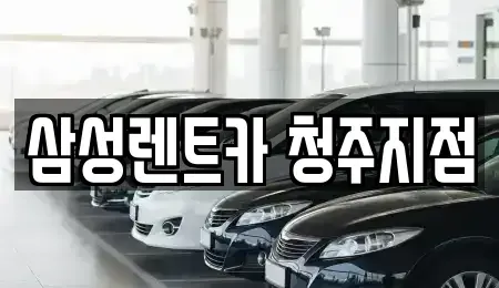 충청북도 청주시 흥덕구 정봉동 렌트카 전문 삼성렌트카 청주지점