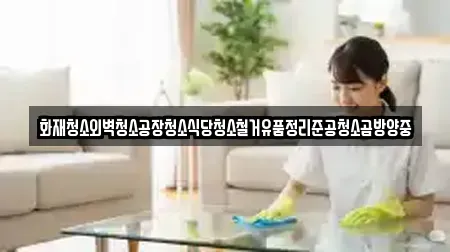 화재청소외벽청소공장청소식당청소철거유품정리준공청소곰방양중